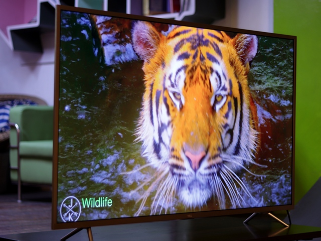 TCL L55P2MUS 4K UHD TV Review: Best Budget 4K Android Smart TV?