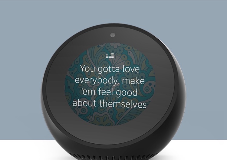 How does the hot sale echo spot work