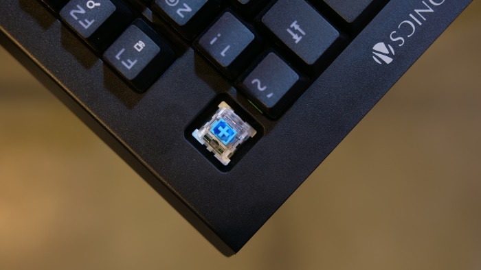 Blue Mechanical Switches