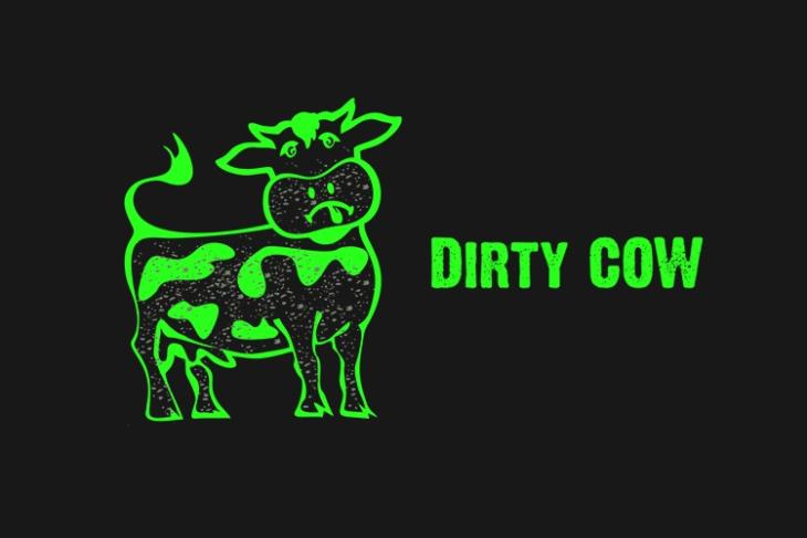 Dirty Cow Vulnerability How ZNIU Is Using It to Attack Android