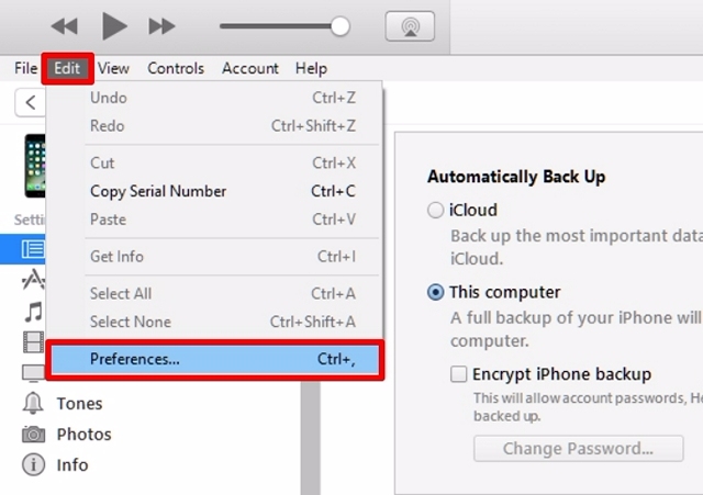 iTunes Preferences