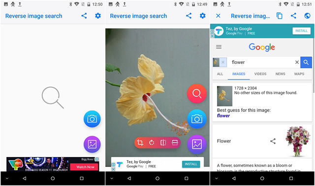 How To Reverse Image Search - on Desktop & Mobile | The Tech Basket