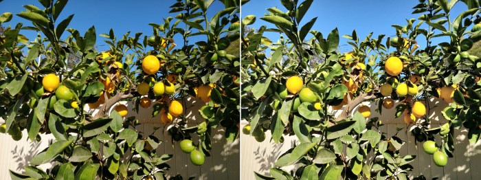 Google Camera HDR (left) and OnePlus 5T HDR (right)