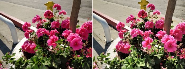 Google Camera HDR (left) and OnePlus 5T HDR (right)