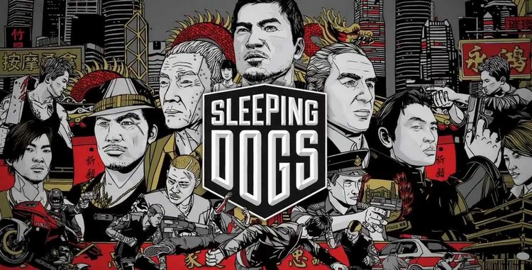  Sleeping Dogs - Limited Edition (PC DVD) : Video Games