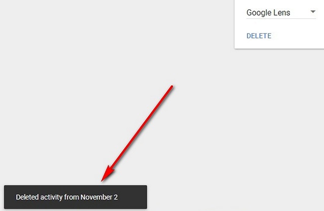 How to Delete Google Lens Activity (Guide)