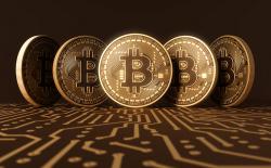 Meet Bitcoin Gold: The Latest Fork of the Bitcoin Blockchain