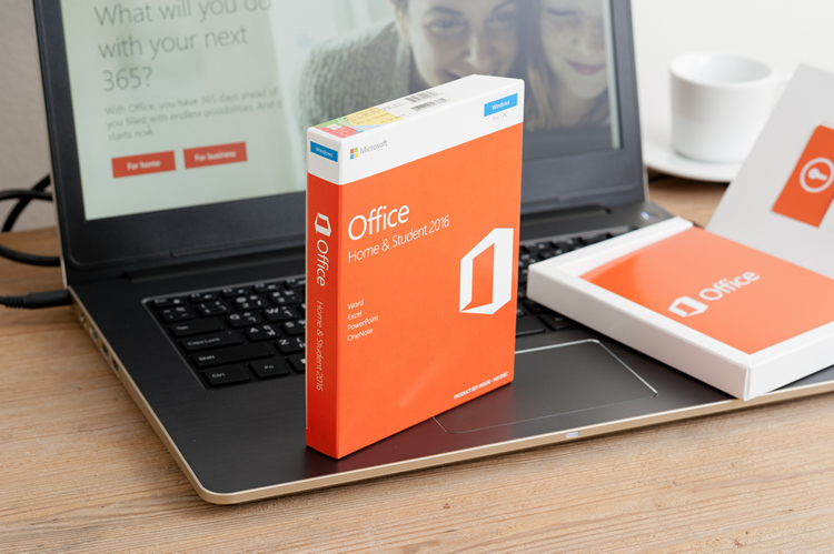 Microsoft Office logo Shutterstock KK