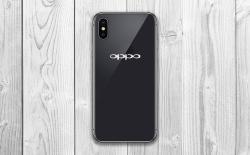 The Oppo R13 Leaks, Looks Exactly Like the iPhone X