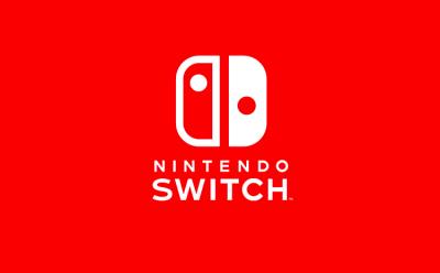 Nintendo Postpones 64GB Switch Cartridges to 2019