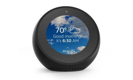 echo spot