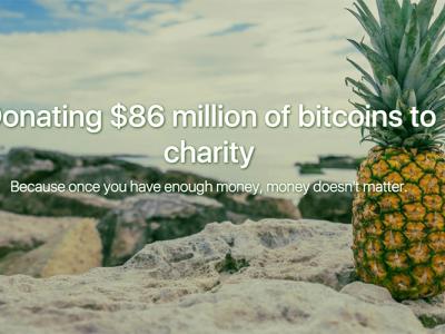 Bitcoin Charity Pineapple Fund
