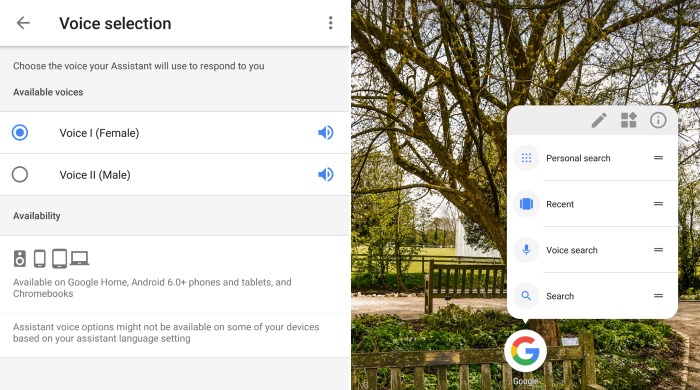 Google App UI Changes