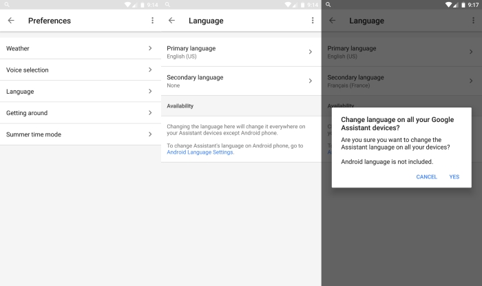 Google Assistant Language Options