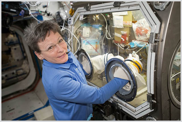 ISS Astronauts Have Identified Unknown Microbes in Space for the First Time