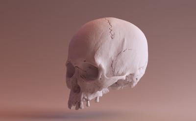 Researchers to Help Match Unidentified Skulls with Digital Face Images