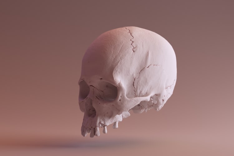Researchers to Help Match Unidentified Skulls with Digital Face Images