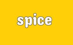 Spice Mobility to buy Significant Stake in AnyTimeLoan website