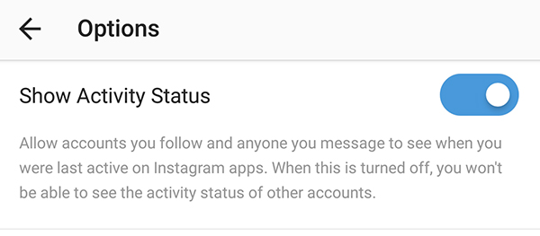 Instagram Now Shows Activity Status for Users in Direct Messages