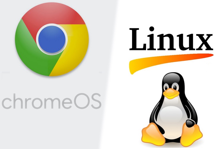 Native Support For Linux Apps Coming to All Intel Apollo Lake Chromebooks