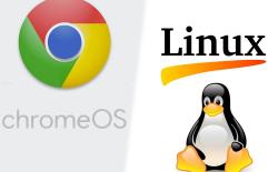 Chrome OS 66 Might Bring Support for Running Linux Apps on a Chromebook