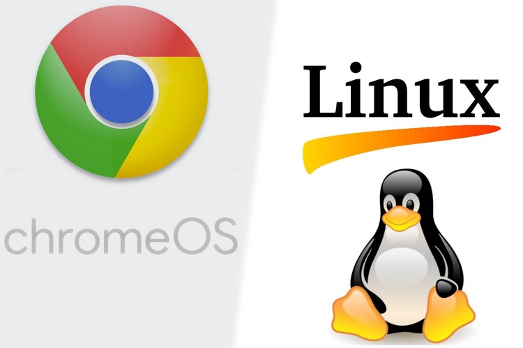Chrome OS 66 Might Bring Support for Running Linux Apps on a Chromebook