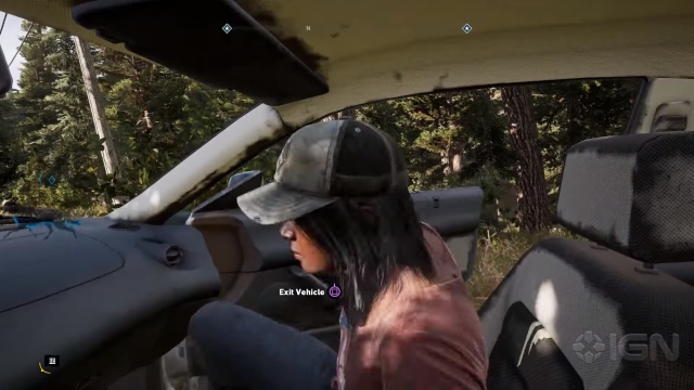 Far Cry 5 Co-op