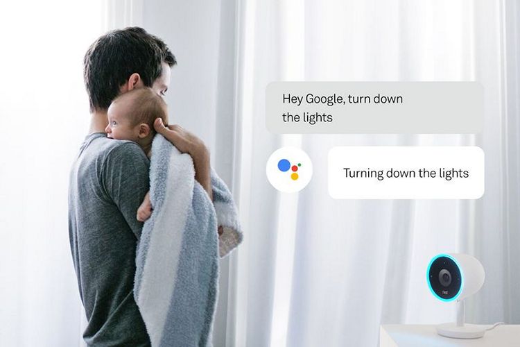 GoogleAssistant Nest Cam IQ