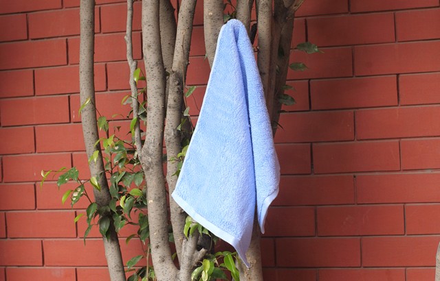 Xiaomi Towel