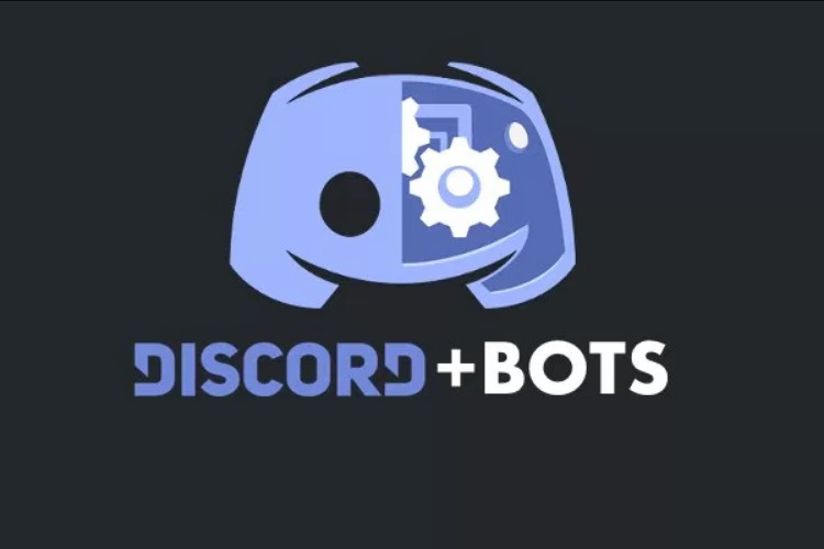 Bot related things Discord, Development, Bot