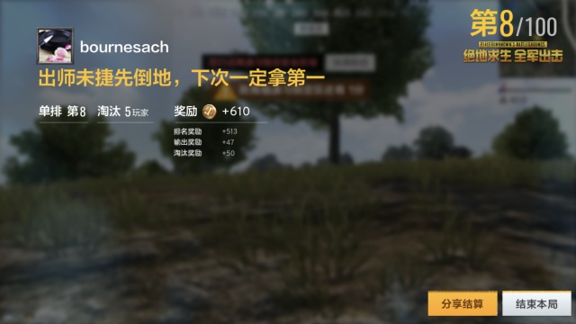 pubg winner