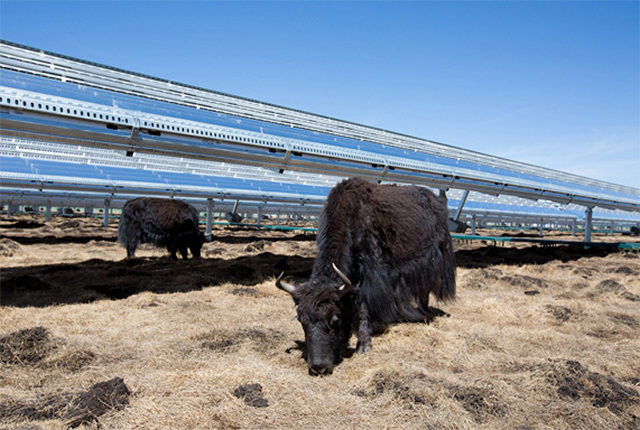 Apple Says its Offices, Stores Are Now Fully Powered by Renewable Energy