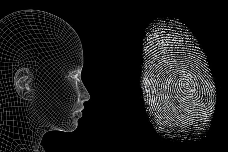 New Web Standard Allows Face Scan and Fingerprint Data to be Used as Login Credential