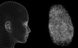 New Web Standard Allows Face Scan and Fingerprint Data to be Used as Login Credential