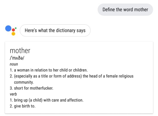 ga siri mother definition