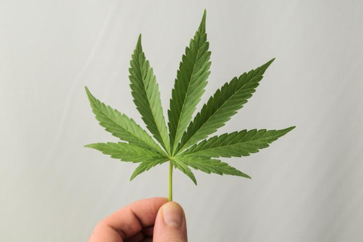 HP is Entering the Legal Marijuana Business With its PoS Solutions
