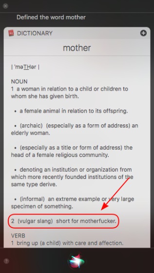 Siri Shocks With Accurate But NSFW and Offensive Definition of Mother