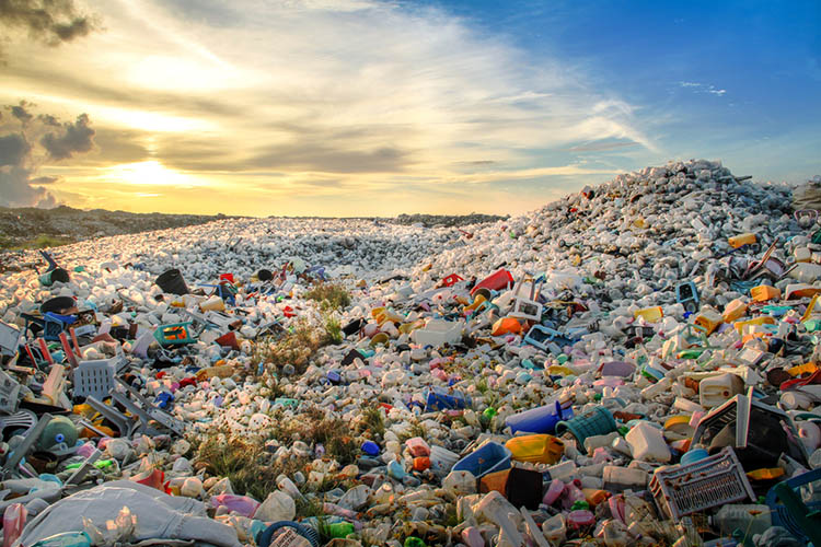 Scientists Accidentally Create Enzyme that Can Eat Plastic