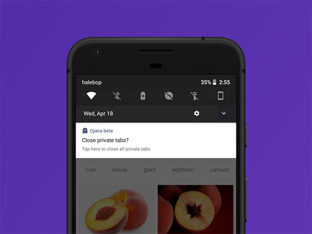 Opera 46 Android Private Tab notification