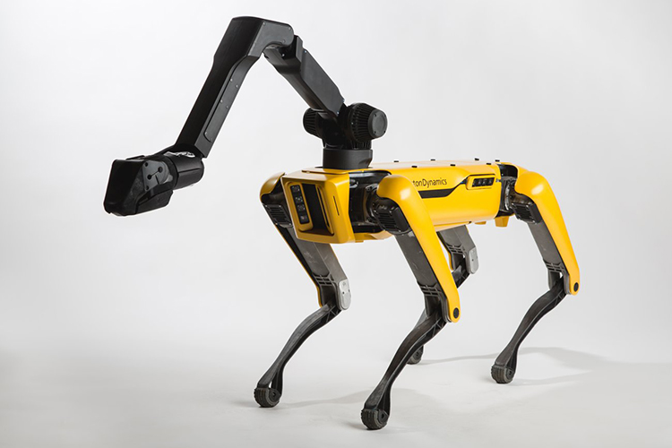 Robot Dog "SpotMini" By Boston Dynamics Will Be Up For Sale Next Year