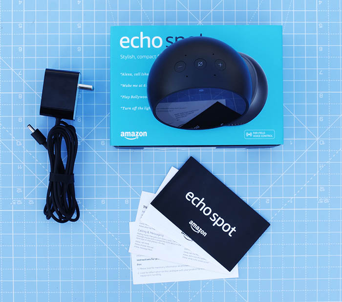 Echo best sale spot reviews