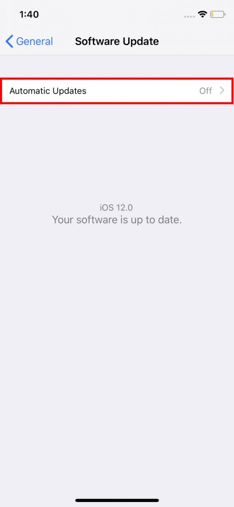 How to Enable Automatic Updates in iOS 12