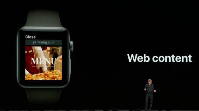 watchos 5 webkit