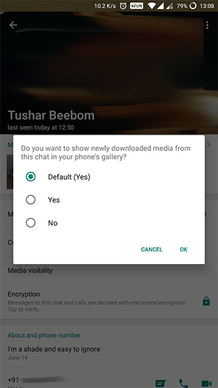 WhatsApp Now Lets You Hide Received Media From Gallery