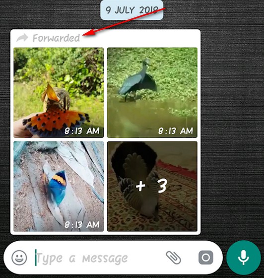 WhatsApp on Android Has Started Labeling Forwarded Messages