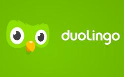 Duolingo Introduces Hindi Course for English Speakers, Four More Indian Languages to Follow