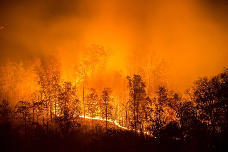 Tweets Could Be Used To Track Air Quality During Disasters