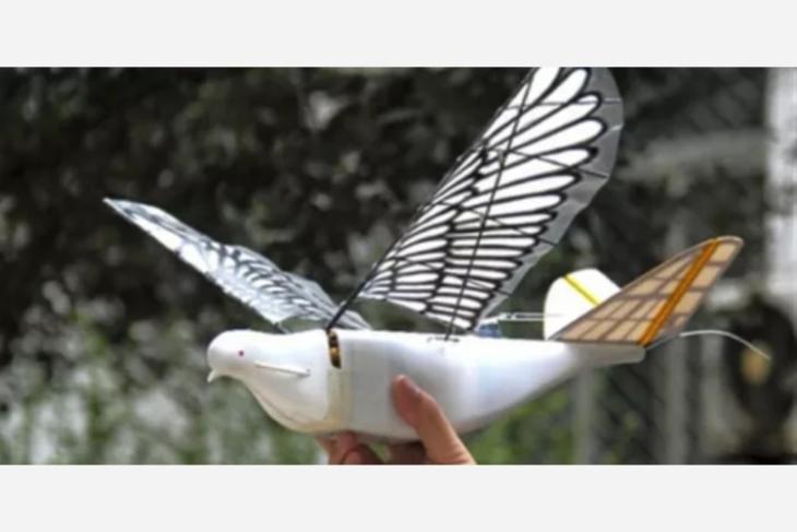 China Bird Drone featured