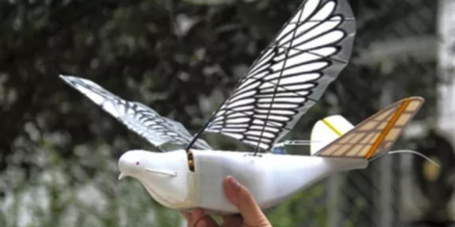 China Is Using New Bird Drones To Track Its Citizens