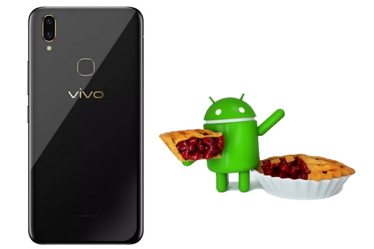 vivo wev